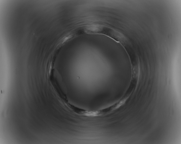 X0000085020143200703121550