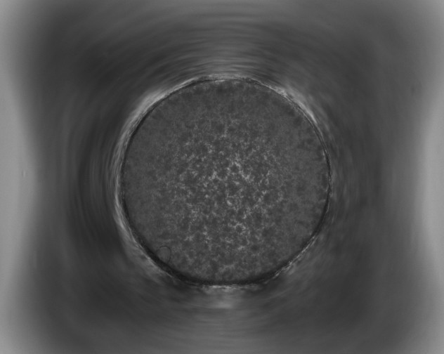 X0000085020145200703121550