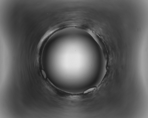 X0000085020150200703121550