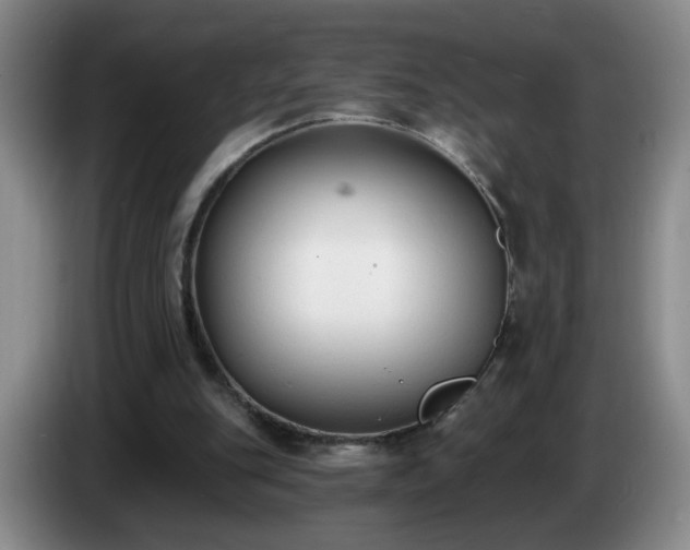 X0000085020151200703121550