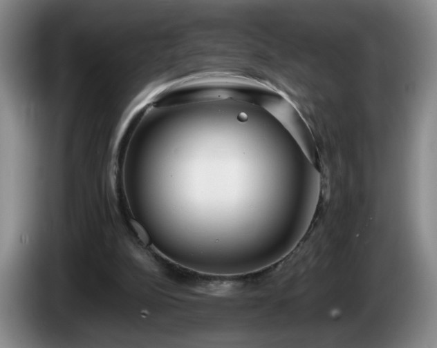 X0000085020152200703121550