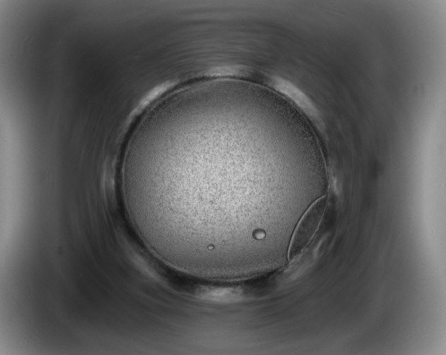 X0000085020155200703121550
