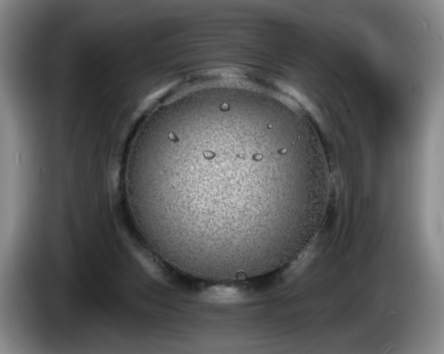 X0000085020159200703121550