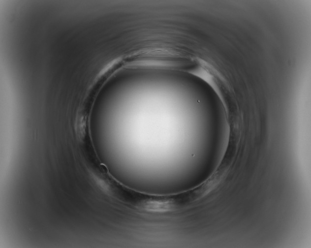 X0000085020160200703121550