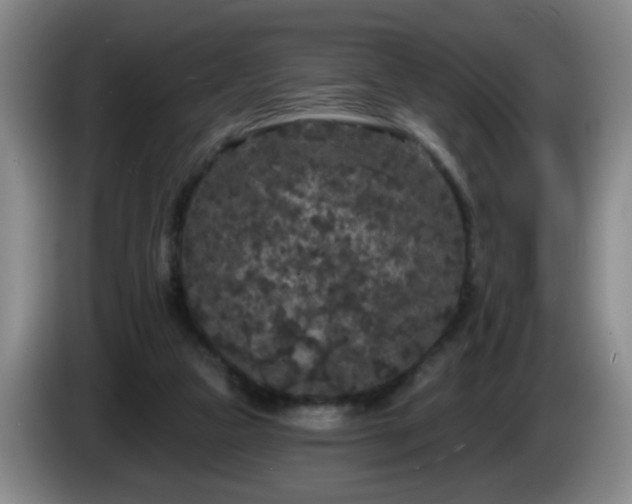 X0000085020161200703121550