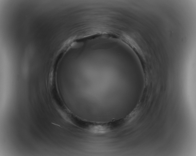 X0000085020163200703121550