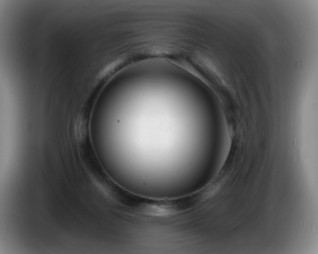 X0000085020164200703121550