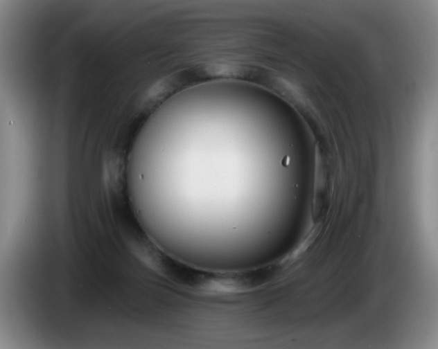 X0000085020171200703121550