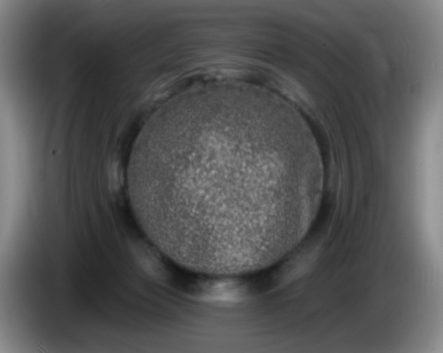 X0000085020173200703121550