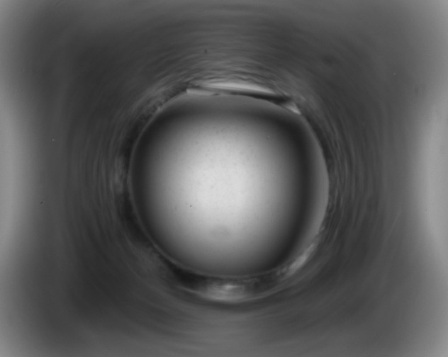 X0000085020174200703121550