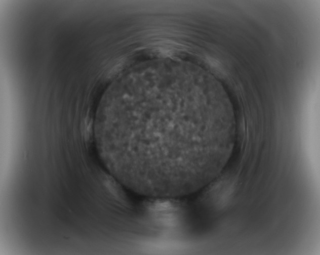 X0000085020177200703121550