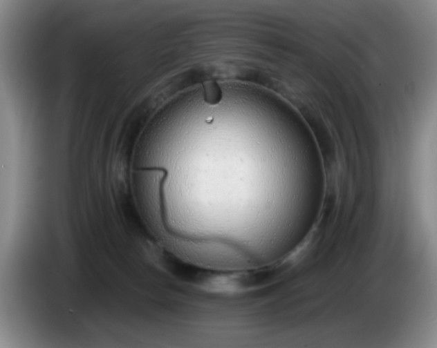 X0000085020178200703121550
