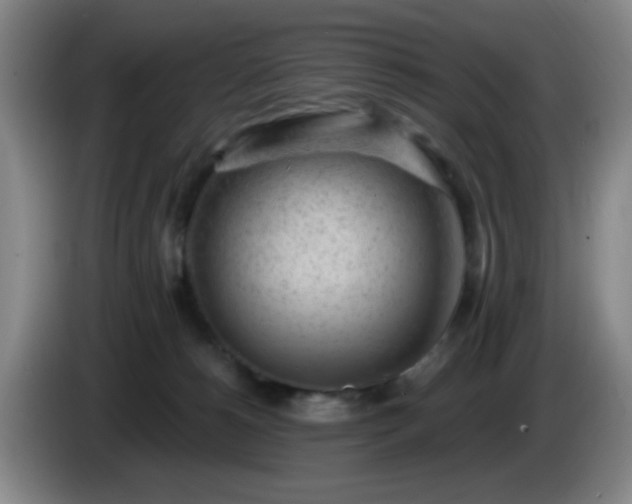 X0000085020180200703121550