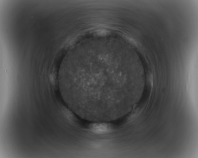 X0000085020181200703121550