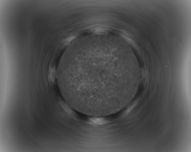 X0000085020189200703121550