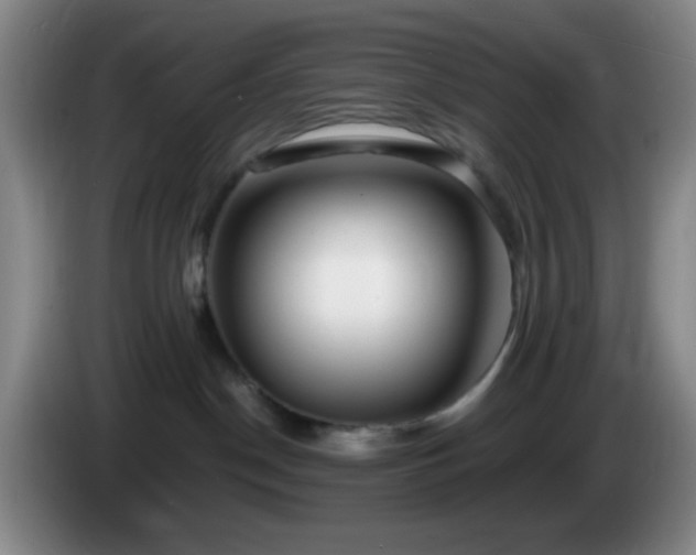 X0000085020190200703121550
