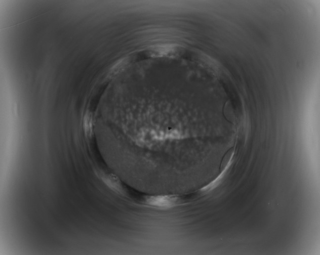X0000085020191200703121550