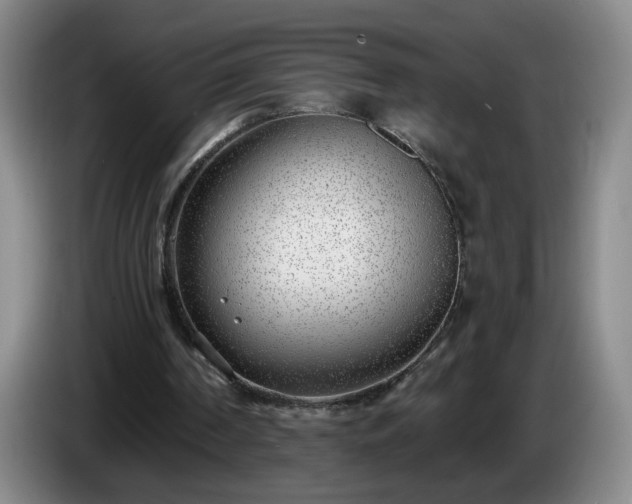 X0000085020194200703121550