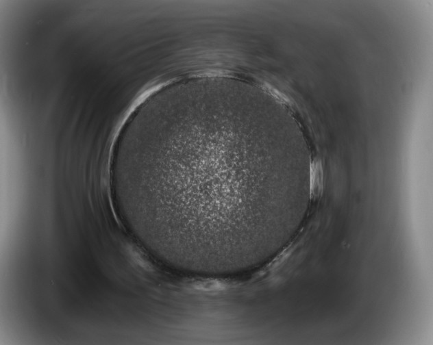 X0000085020195200703121550