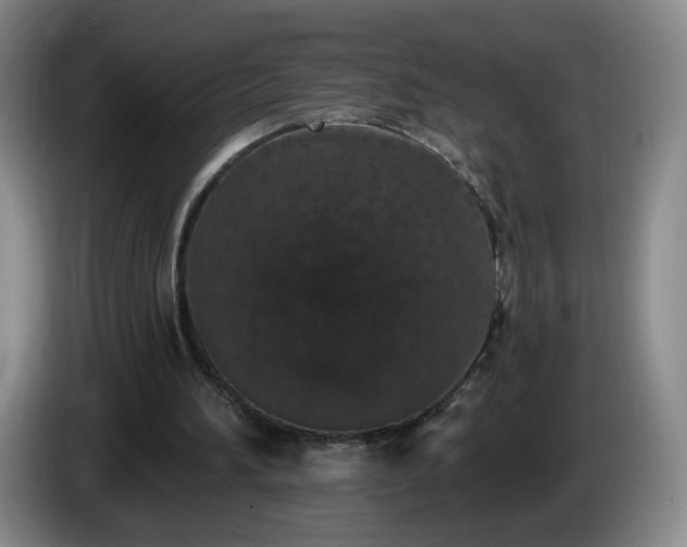 X0000085020196200703121550