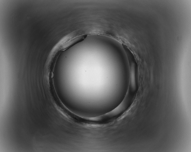 X0000085020197200703121550