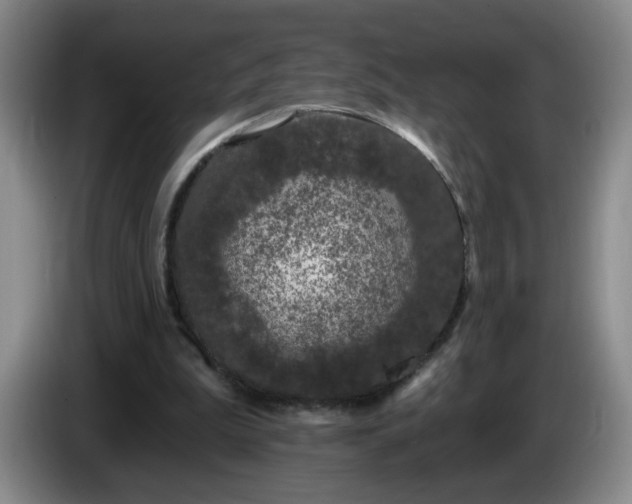 X0000085020199200703121549