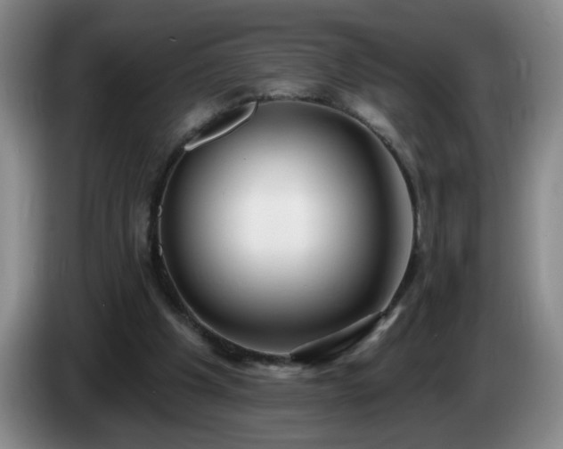 X0000085020201200703121549