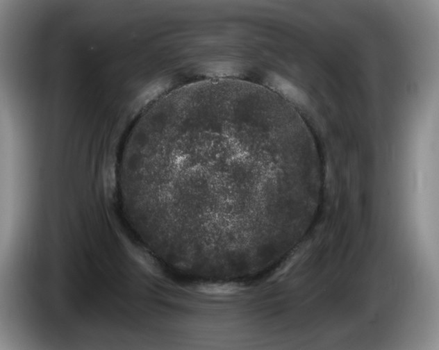 X0000085020202200703121549