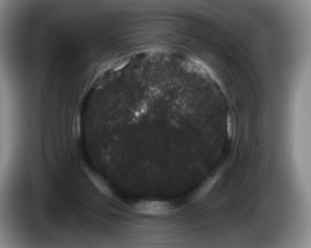 X0000085020205200703121549