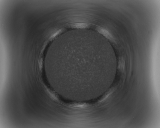 X0000085020206200703121549