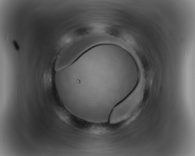 X0000085020207200703121549