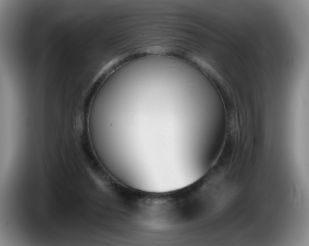 X0000085020208200703121549