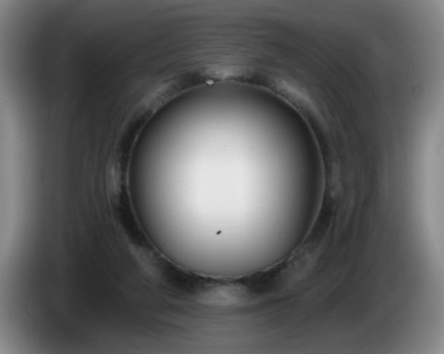 X0000085020210200703121549