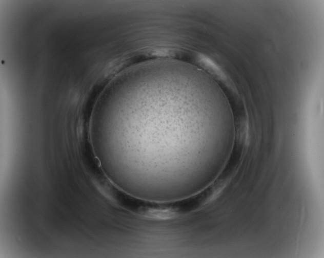 X0000085020213200703121549
