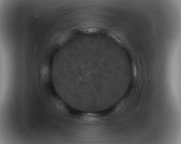 X0000085020222200703121549
