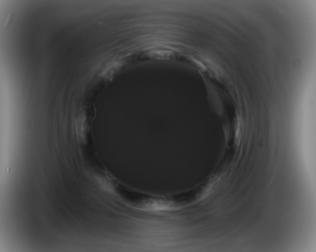 X0000085020223200703121549