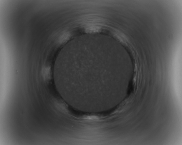 X0000085020224200703121549