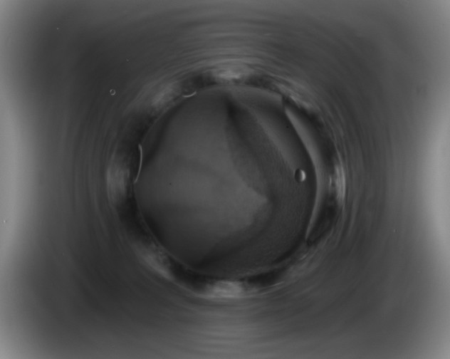 X0000085020227200703121549