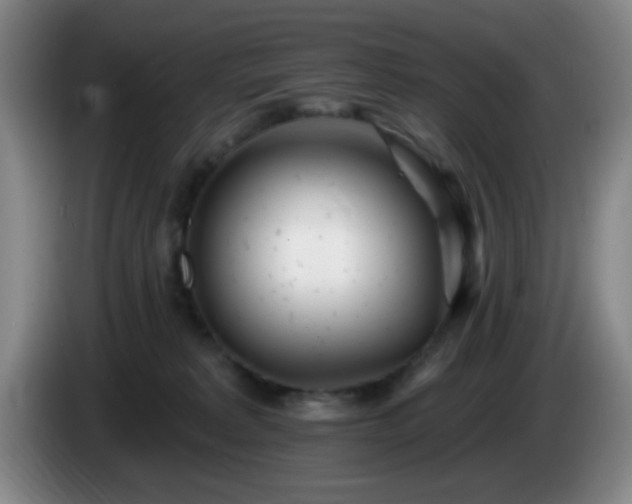 X0000085020229200703121549