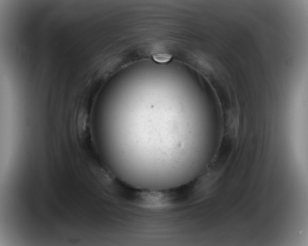X0000085020230200703121549