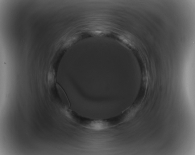 X0000085020231200703121549