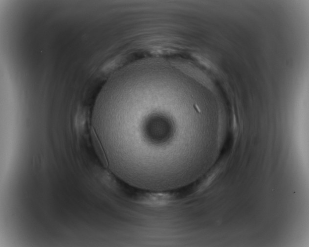 X0000085020233200703121549