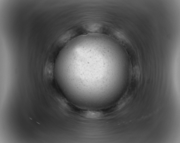 X0000085020234200703121549