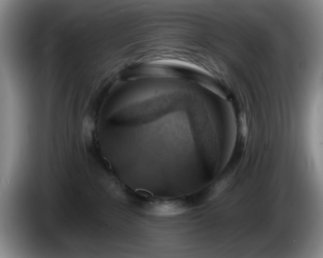 X0000085020235200703121549
