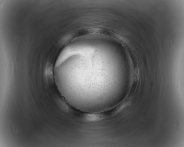 X0000085020238200703121549