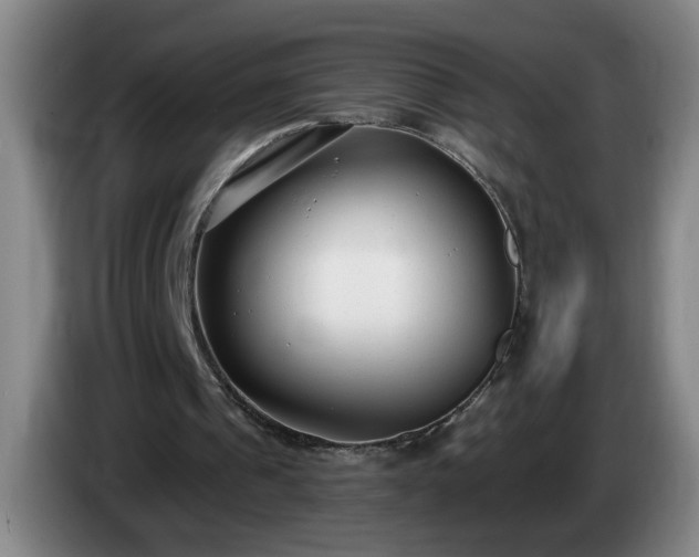 X0000085020241200703121548