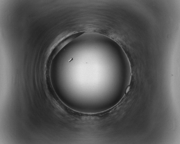 X0000085020242200703121548