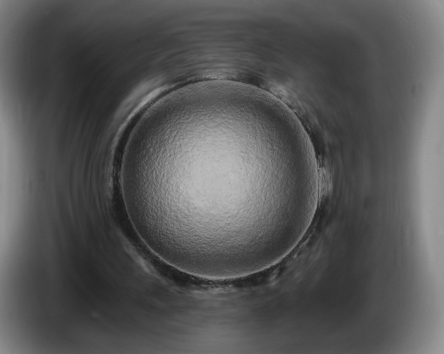 X0000085020243200703121548