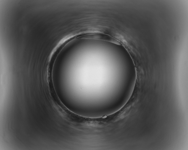 X0000085020244200703121548