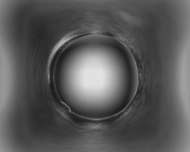 X0000085020246200703121548